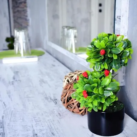 Amigo център Appartement *